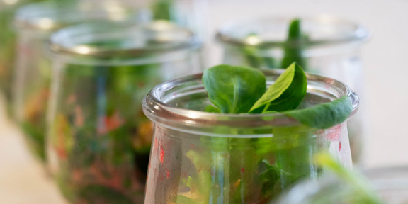 Gläser mit gesunden Salatsnacks stehen in einer Reihe auf einem Tisch.