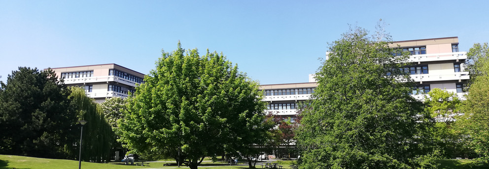 Zwei Bäume vor dem Gebäude EF50