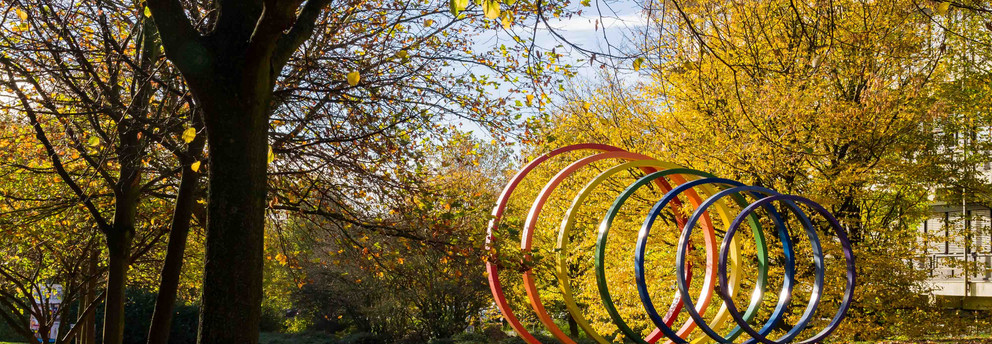 Spektralringe aus Stahl umgeben von Bäumen im Herbst. 